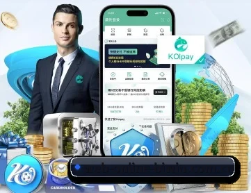 web-online-biwin.com.cn APP