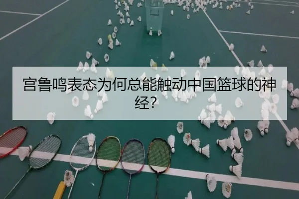 宫鲁鸣表态为何总能触动中国篮球的神经？